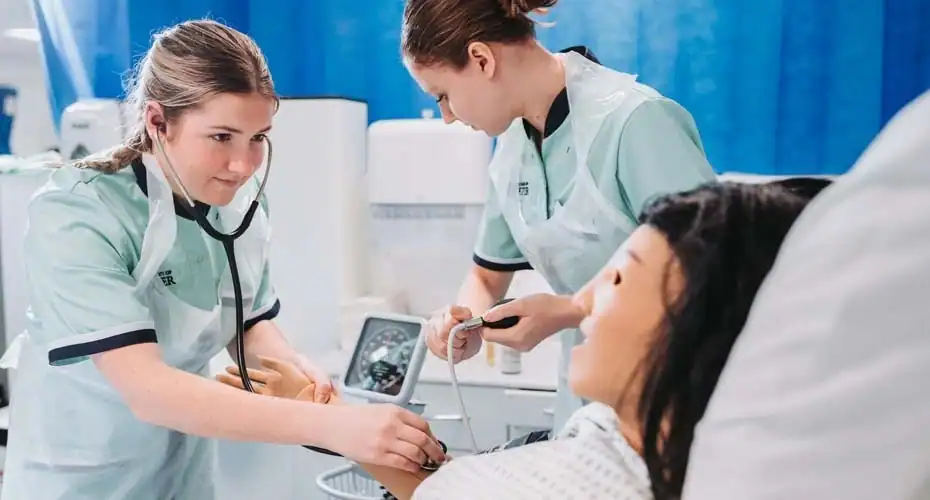 Medical Foundation Programme in the UK: Entry Requirements, Fees & Pathway to Medicine with Veritas Pathways